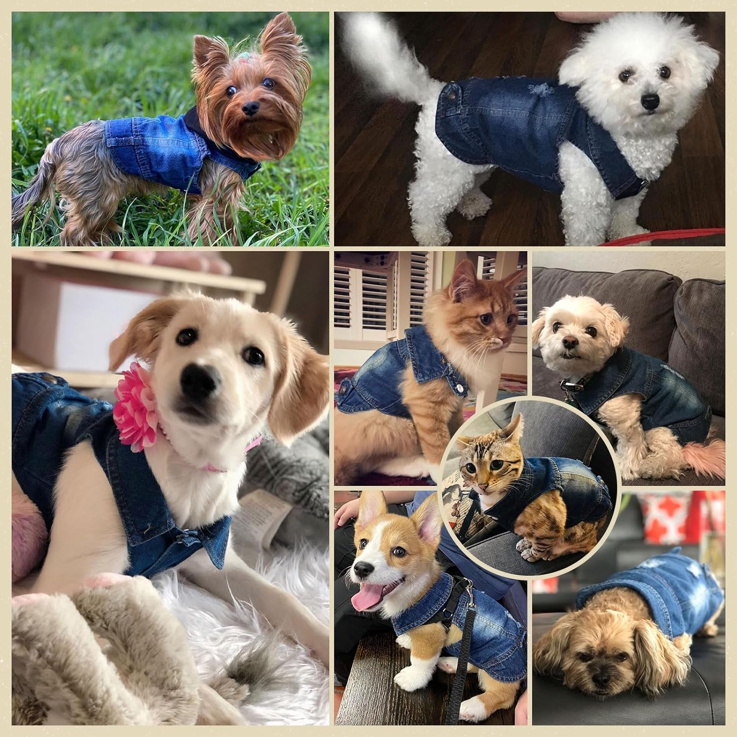 Pet Vests Dog Denim Jacket Hoodies Puppy Jacket for Small Medium Dogs