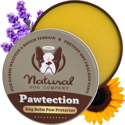 Pawtection, 1 Oz Tin, Veterinarian-Approved, All-Natural Dog Paw Balm and Moisturizer, Nourishing Dog Paw Protector for Rough Terrain and Harsh Temperatures